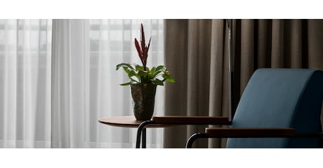 Room Junior Suite